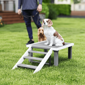 Wooden Dog Training Place Board, Dog Training Platform With Ladder, Pet Agility System For Indoor Outdoor (Color: Grey)